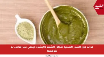فوائد ورق السدر الصحية تتجاوز الشعر والبشرة ويحمي من أمراض لم تتوقعها